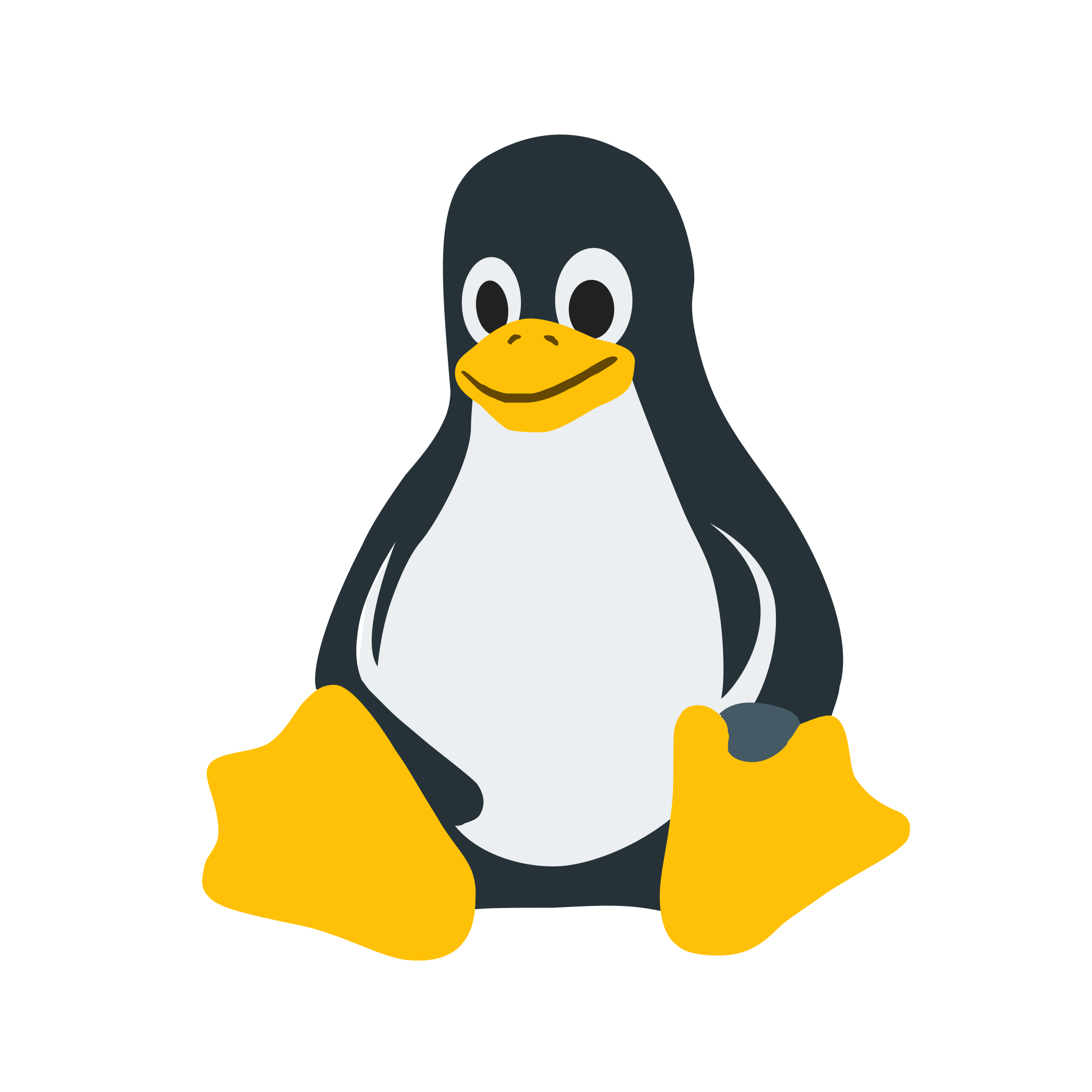 linux Image